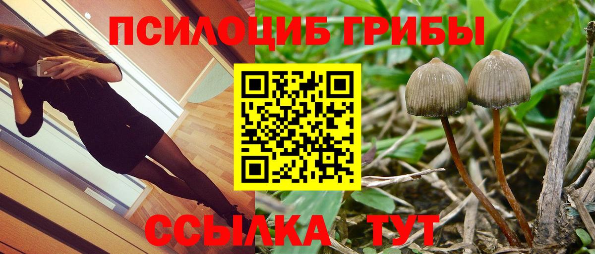 Дмитров  Галлюциногенные грибы мицелий  Вход с VPN 